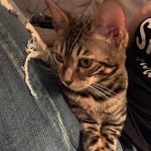 Meet your Posher, Tina